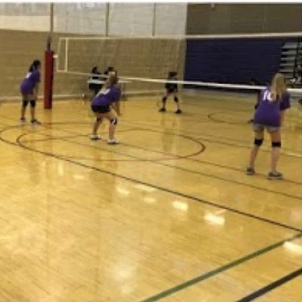 Meet your Posher, Alecandrea